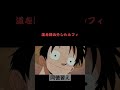 道を踏み外したルフィ