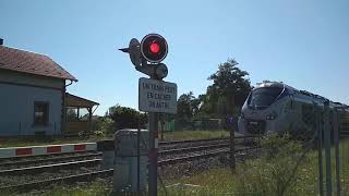 Train à un passage à niveau #49 screenshot 1