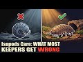 Isopod Care Guide: Fix the Mistake That Kills Them