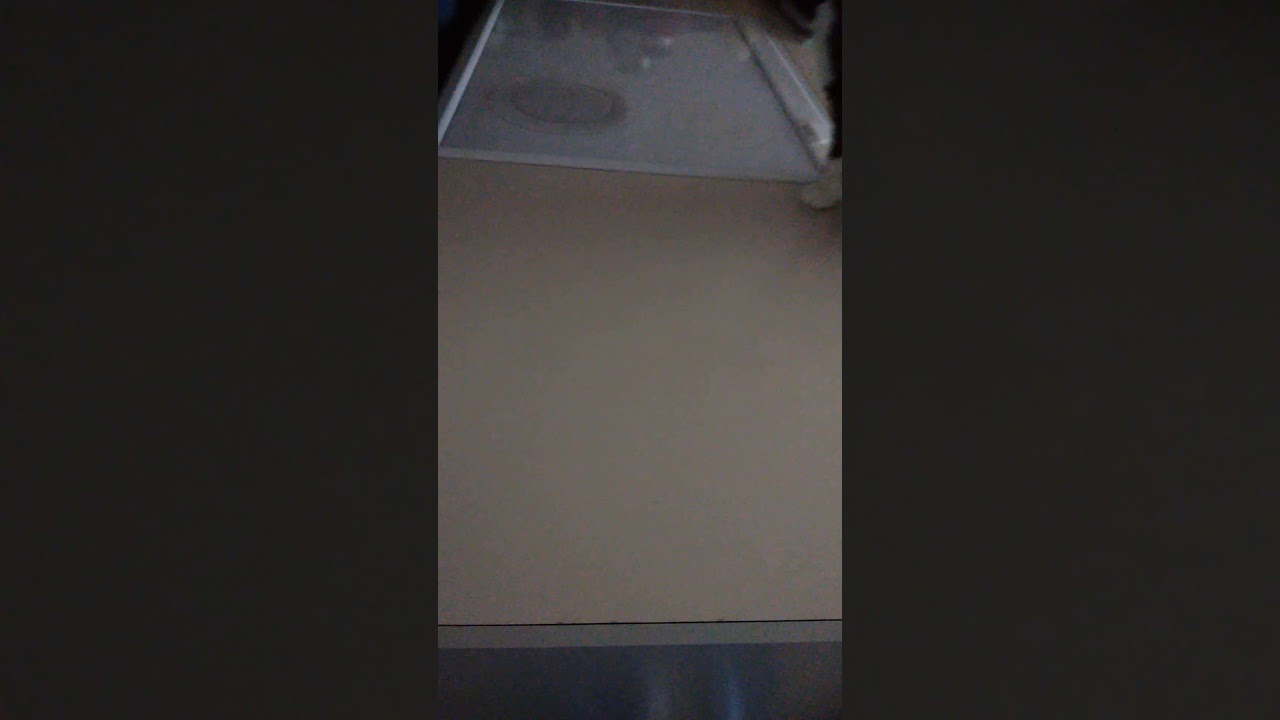 My cat hates her new sweater. YouTube