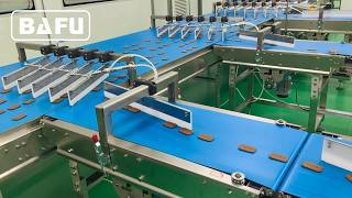 biscuit packaging machine, cake packaging machine, bread packaging machine, flow wrapper, flow-pack