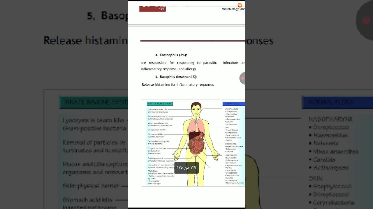 ٨ مارس، ٢٠٢٦