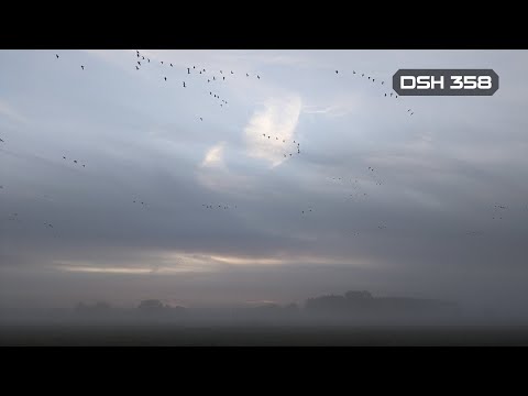 DSH 358 Atmospheric Deepness Melodic Grooves