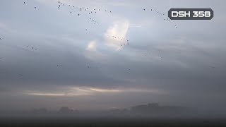 Download Lagu DSH 358 | Atmospheric Deepness \u0026 Melodic Grooves MP3