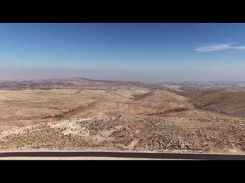 ثبت جذورك في التراب