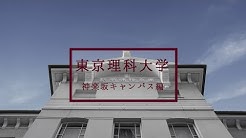 東京 理科 大学 レタス