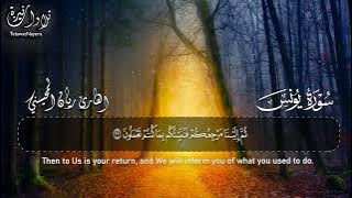 Surah Yunus Full || By Sheikh Rayan Al-Muhaysni  || القارئ ريان المحيسني (Beautiful recitation)
