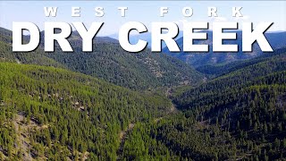 West Fork of Dry Creek | Lolo National Forest, Montana