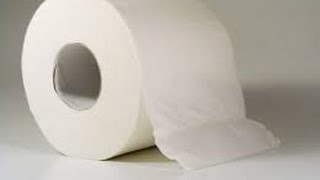 Um Internauta E O Papel Higiênico