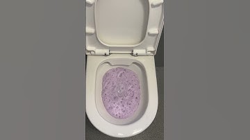 Purple toilet clean 💜 #cleaning #clean #asmr #asmrsatisfying #asmrvideo #asmrsatisfying #toilet