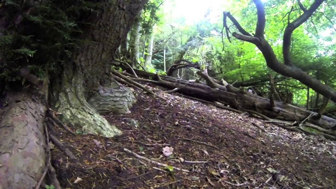 Boxley Woods Trail MTB YouTube