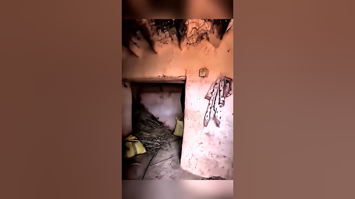 Спустя 20 лет он вернулся домой 🥹