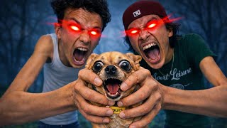 My Owners They Cant Stop Growing