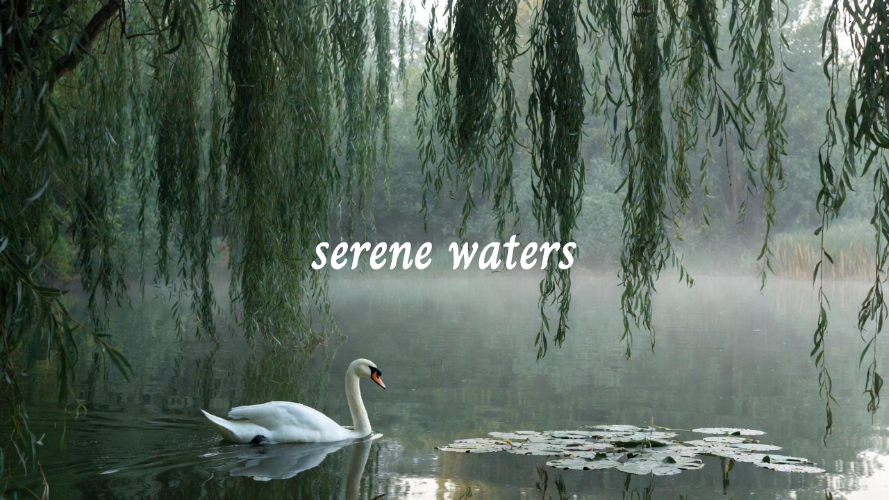 serene waters | a quiet piano playlist for deep focus and study