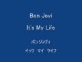 [歌詞&amp;和訳] Bon Jovi - It&#39;s My Life