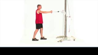 Single arm High Row to Arrow Position