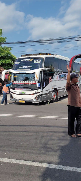 Kids Panda #shortvideo #shortsfeed #shorts #bus #basuri #telolet