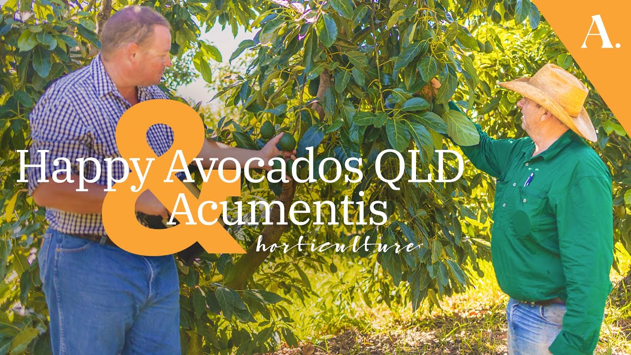 Exploring Ecoganic™ Horticulture Valuations 🥑 Happy Avocados & Acumentis