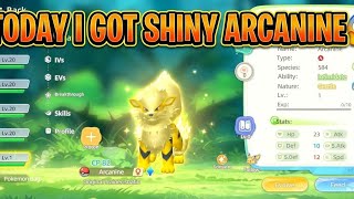 Today i got a Shiny Arcanine🤩 in pokeworld #pokemon #viral 