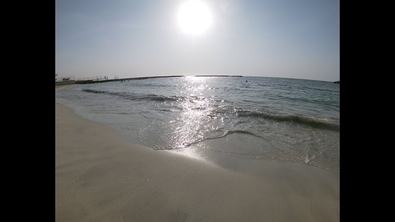 Шарджа 2019 (RUS)