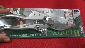 Review kéo cắt cành cầm tay buddy Nhật Bản cao cấp nhất hiện nay 0983781388. 0962417729