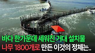 The Secret of a Masterpiece Fishing Method Passed Down for 500 Years Since the Joseon Dynasty [Ko...