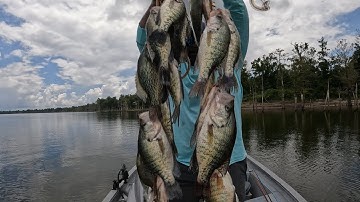Unbelievable Amounts Of Crappie On Standing Timber❗❗