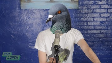 Local SEO Tips after Google Pigeon - SEO Lunch