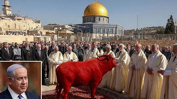 WHAT ISRAEL JUST DID IS IN THE BIBLE.