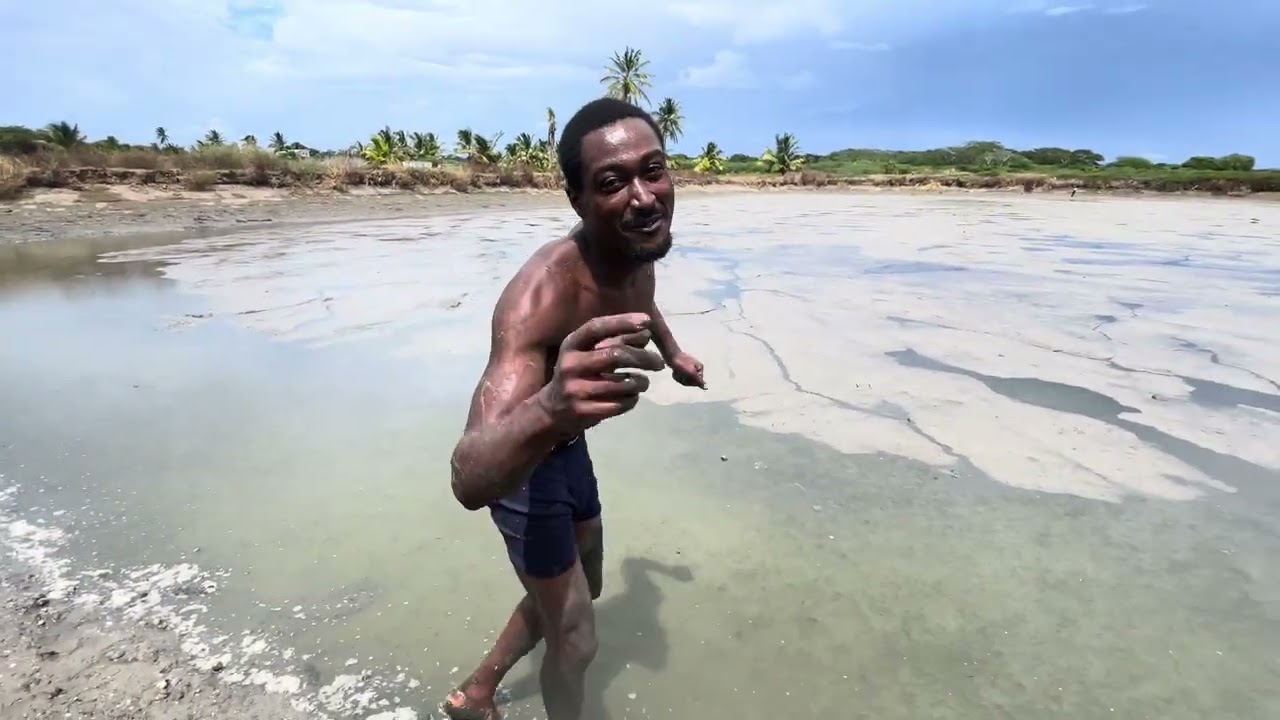 This is how we hunt fish in mud ponds catch and cook