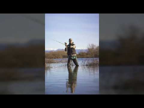 თევზაობა პასიურ ქარიყლაპიაზე♡