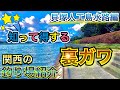 【貝塚人工島水路】カレイを釣るならココ！ファミリー向きの好スポット〜関西のおすすめ釣り場紹介〜