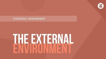 The External Enviornment