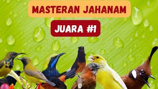 Download Lagu MASTERAN JAHANAM MURAI BATU MEWAH TERBARU MP3