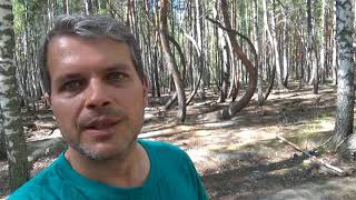 АНОМАЛЬНАЯ ЗОНА.КОЛДОВСКОЙ-ПЬЯНЫЙ ЛЕС!ЗАГАДКИ МЕЩЕРЫ! АНОМАЛЬНАЯ ЗОНА.КОЛДОВСКОЙ-ПЬЯНЫЙ ЛЕС!ЗАГАДКИ МЕЩЕРЫ!
