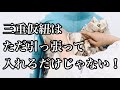 【振袖帯結び】【限定公開】私の三重仮紐の使い方　268 帯結びをしながら詳しく説明