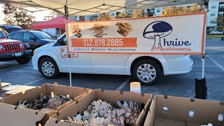 How I sell my oyster, Lion's mane, and black pearl mushrooms in farmers' market.