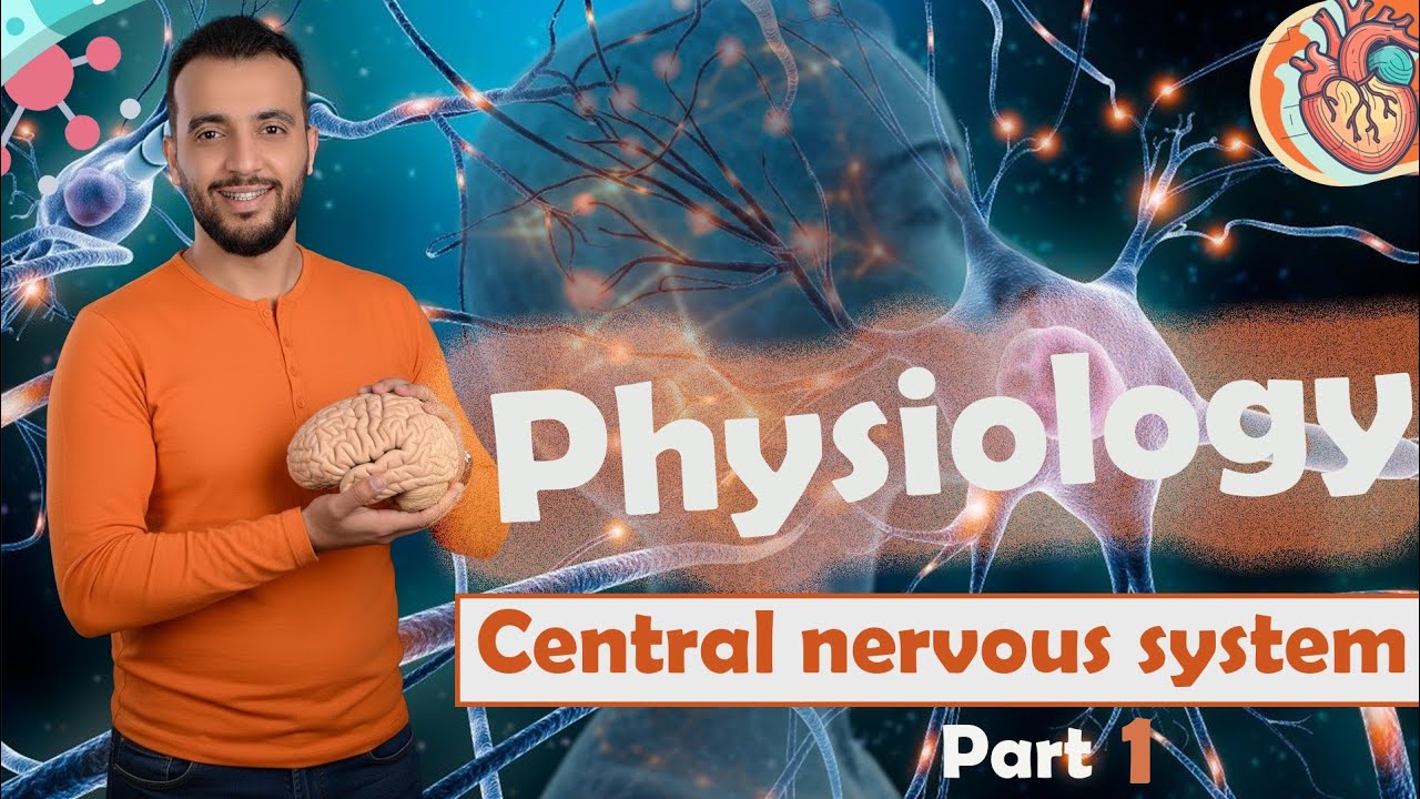 Physiology MNU l Lec 2 Central Nervous system 🧠 