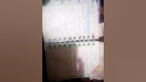 Ese es el diario de Saira