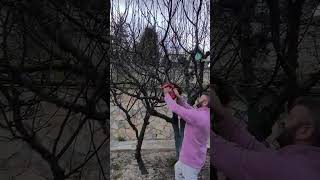 #bahçivan #tarım #uzman #ytdayibenionecikarnolur #yutube