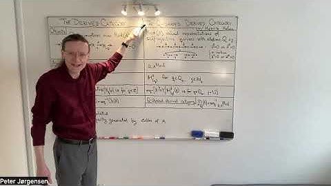 Peter Jørgensen: The Q-shaped derived category (report on joint work with Henrik Holm)