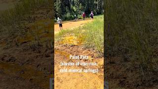 #paintpots #kootenaynationalpark #ironsprings #shorts #travel #roadtrip#family #trails #vlog #viral #paintpots #kootenaynationalpark #ironsprings #shorts #travel #roadtrip#family #trails #vlog #viral