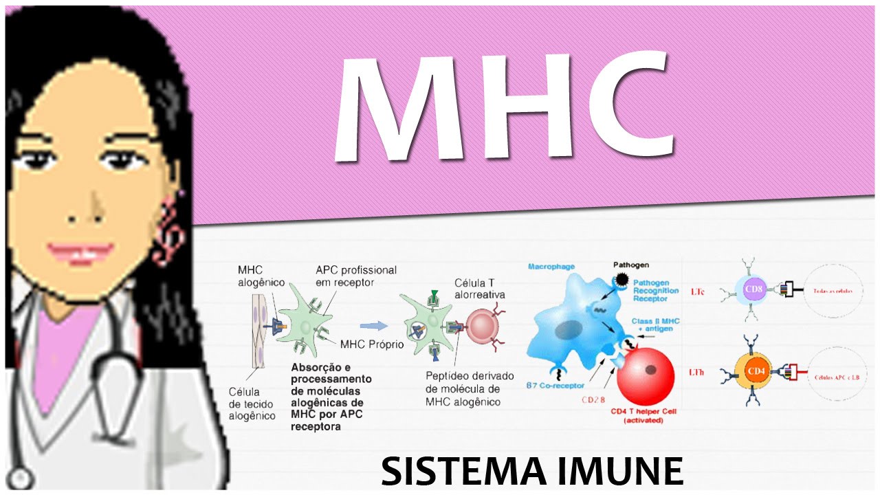 fisiologia patologica Imunologia 07 - (MHC) Complexo Principal de Histocompatibilidade - Vídeo-aula