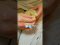 はなえのき【フトアゴヒゲトカゲ】
