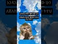 የማትገመት ሁን😂😂 #inspiration #lifeisbutadream #success #motivation #quotes #duet #shorts #viral