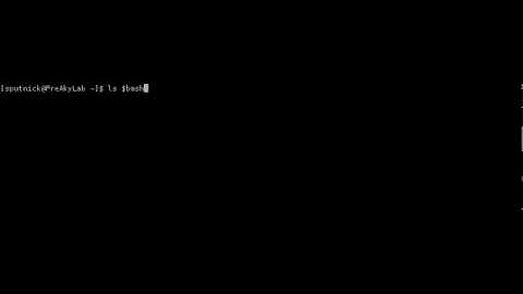 bash completion puts a backslash on the left side of the variable name