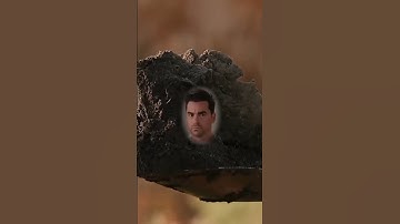 Is Soil a Living Entity? Soil Scientists and Regenerative Agriculture Offer a Clear Answer!