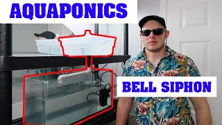 How an Automatic Bell Siphon Works / Troubleshooting - Aquaponics Net Worth