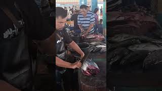 pro potongikancakalang #cuttingfishtuna #fish #tuna #food #gianttuna