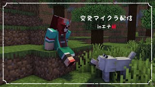【マインクラフトinエナ鯖】物作り大好き🦁【らいおさん】